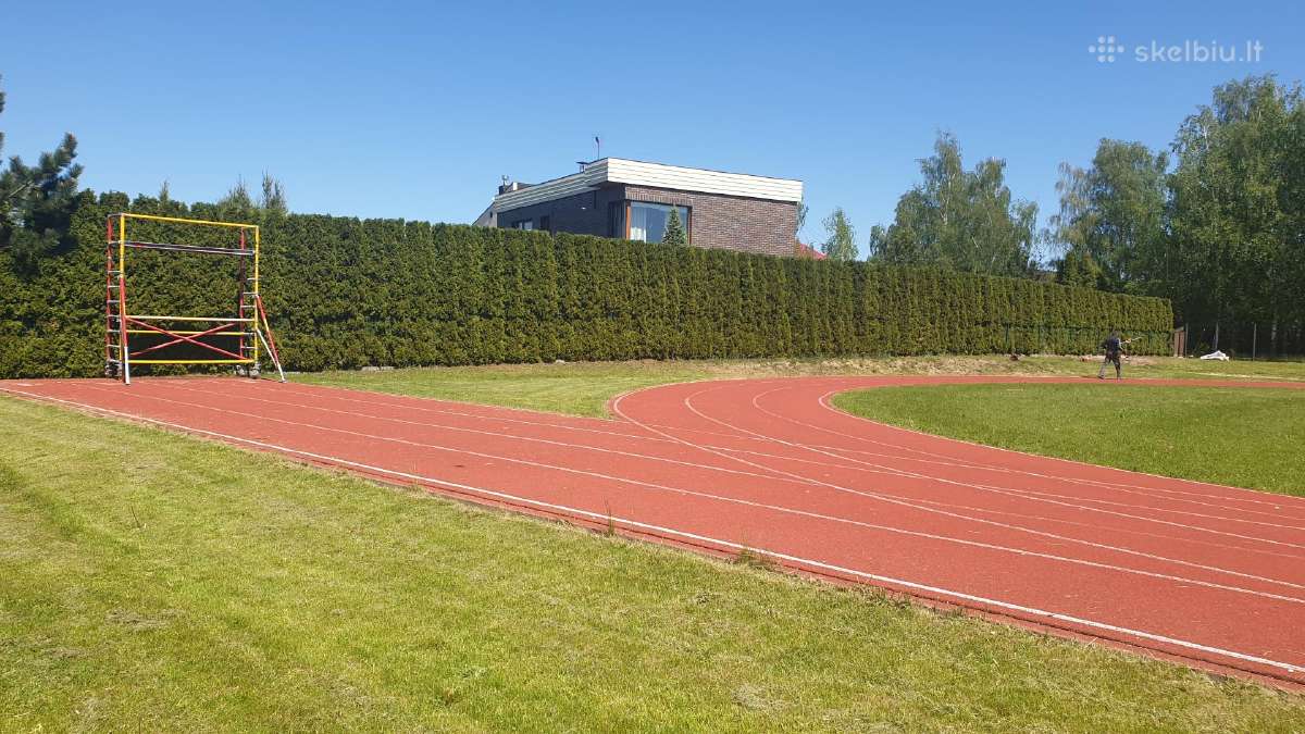 Gyvatvorių ir bonsų formavimas