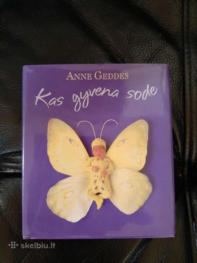 Knyga Anne Gedde"kas gyvena sode"