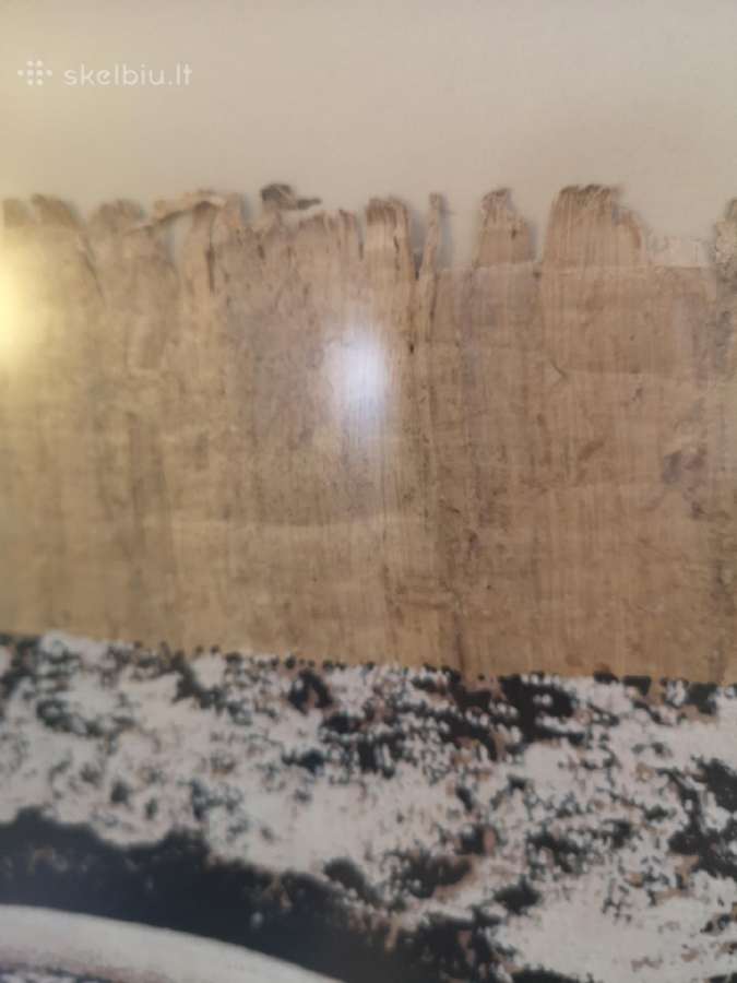 Egipto papiruso paveikslas - nuotraukos Nr. 5