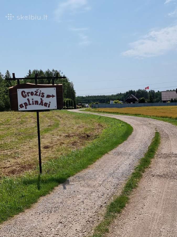 Hortenzijos šluotelinės,veigėlės - nuotraukos Nr. 3
