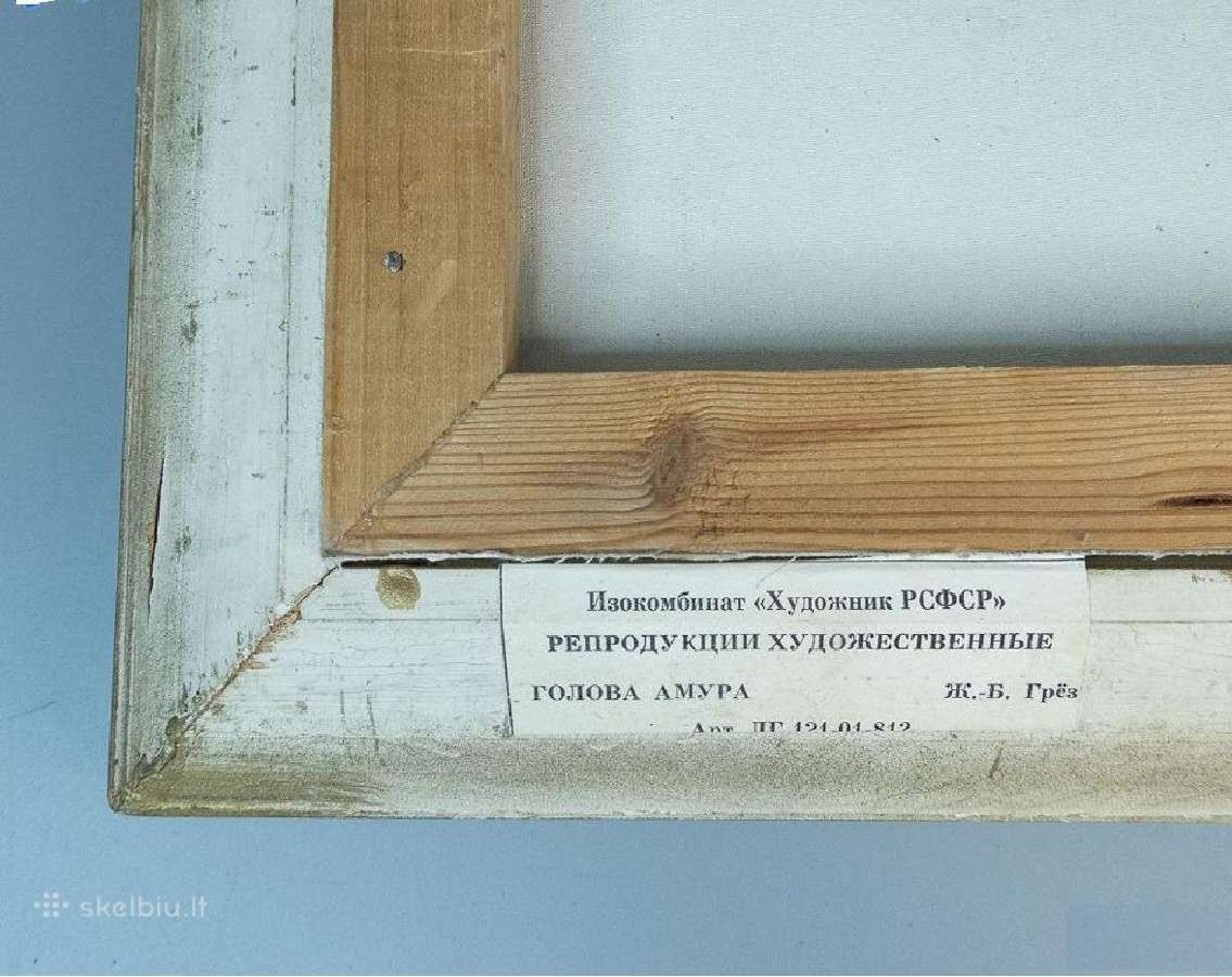 Paveikslas ant drobes su rėmais - nuotraukos Nr. 2