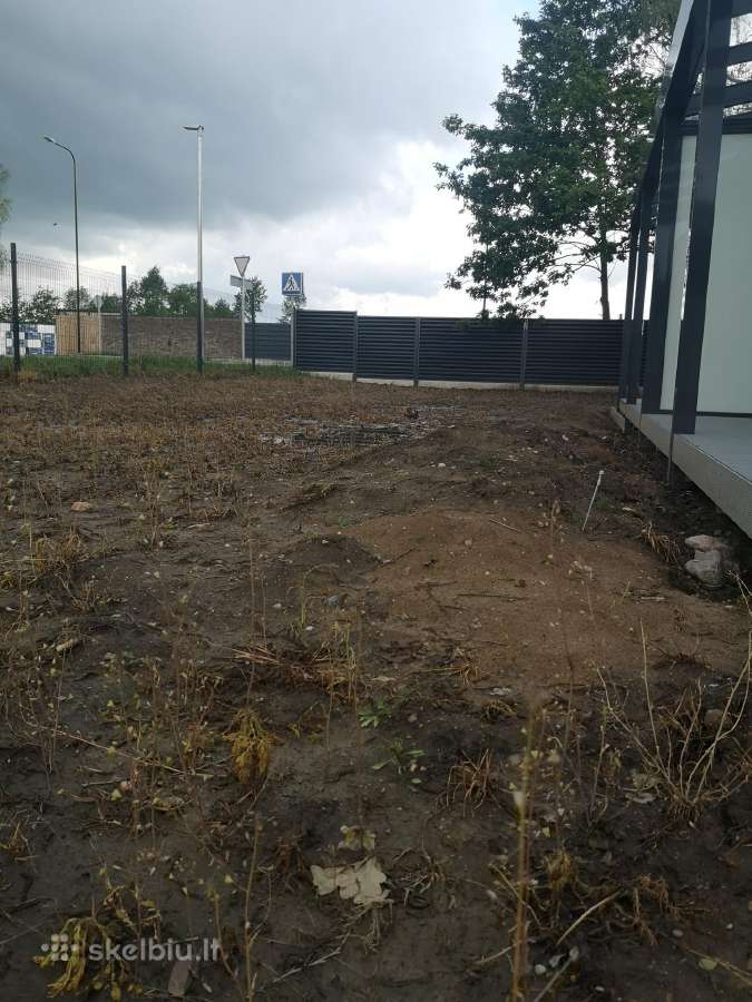 Vejos įrengimas, laistymo sistemos, apželdinimas - nuotraukos Nr. 8
