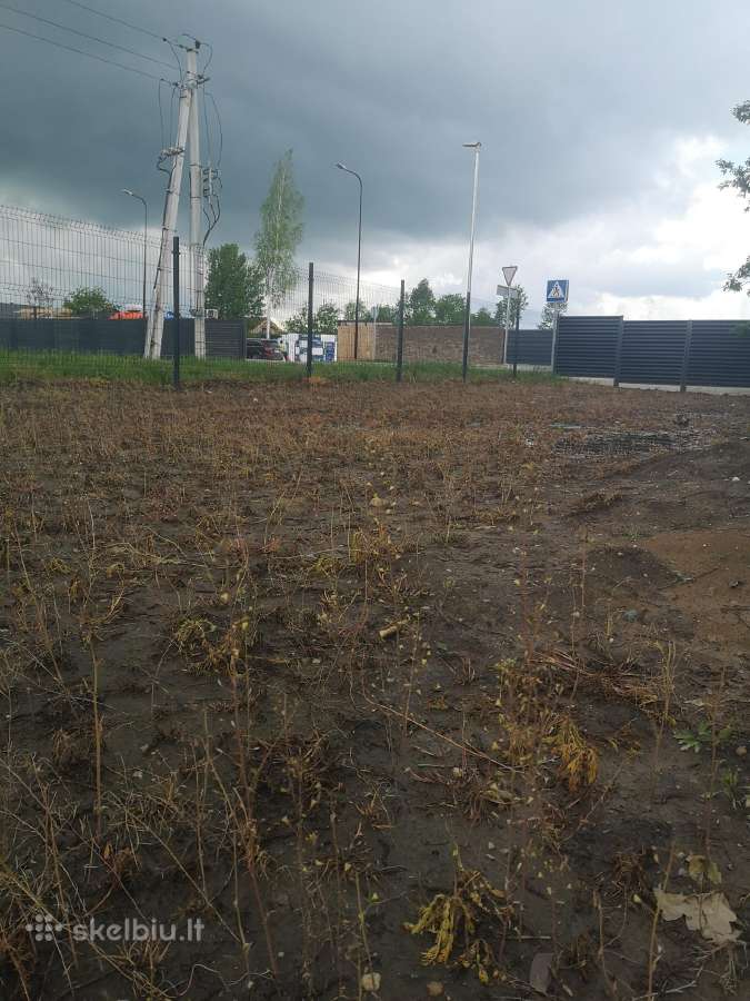 Vejos įrengimas, laistymo sistemos, apželdinimas - nuotraukos Nr. 9
