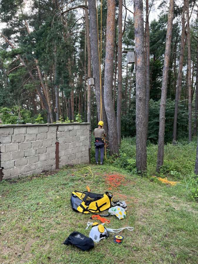 Aukštalipiai,medžių pjovimas,kelmų naikinimas. - nuotraukos Nr. 10