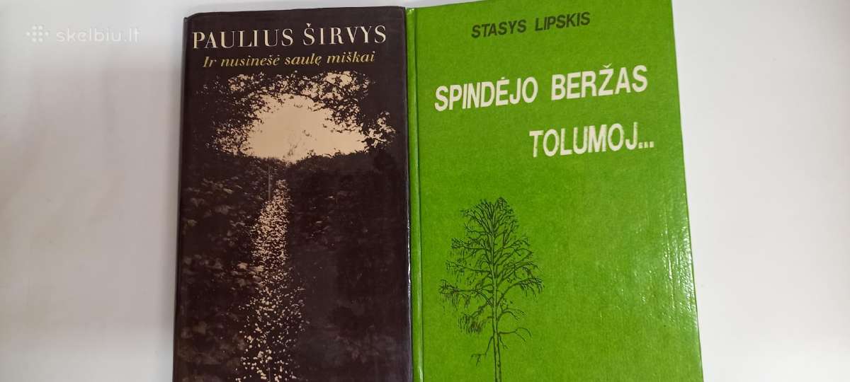 Knyga Širvys