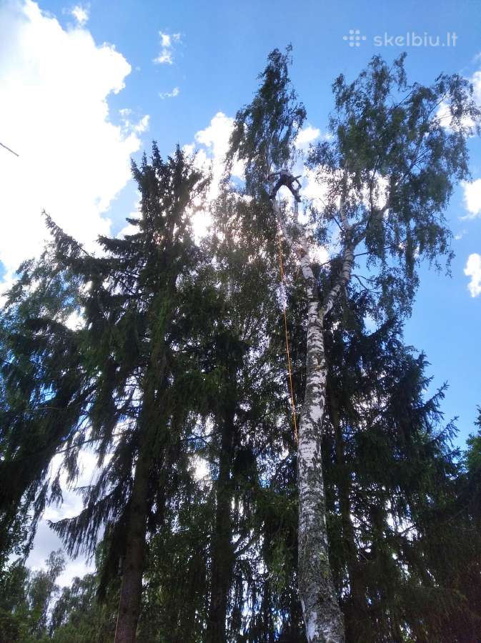 Aukštalipiai,medžių pjovimas,kelmų naikinimas. - nuotraukos Nr. 3