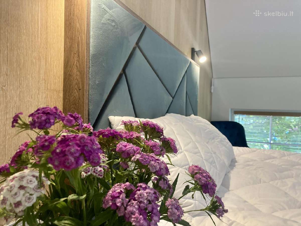 Pape Rogas - vilos ir apartamentai Papėje, Latvija - nuotraukos Nr. 22
