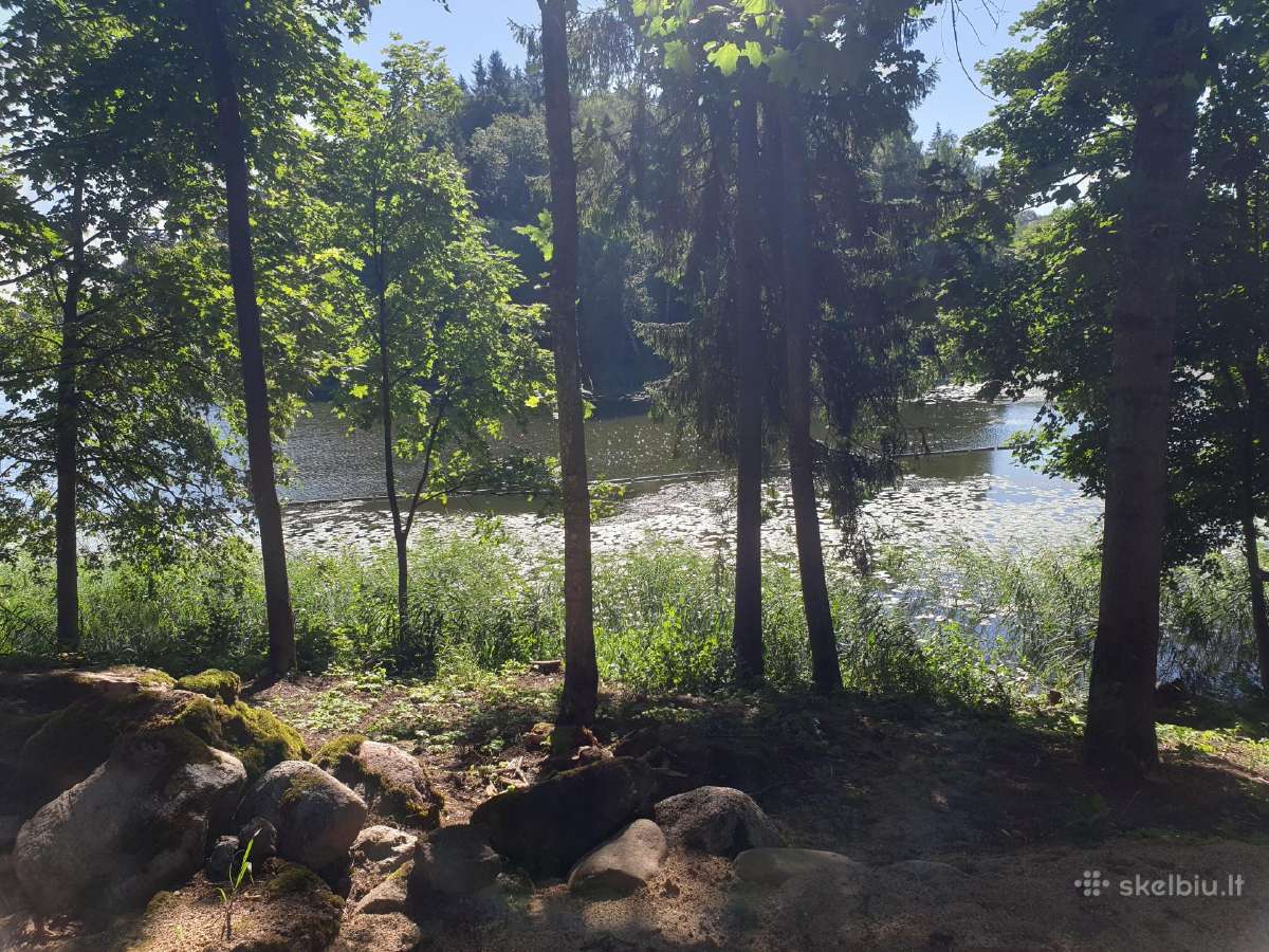 Paplūdimių įrengimas,nendrių naikinimas Molėtų raj - nuotraukos Nr. 5