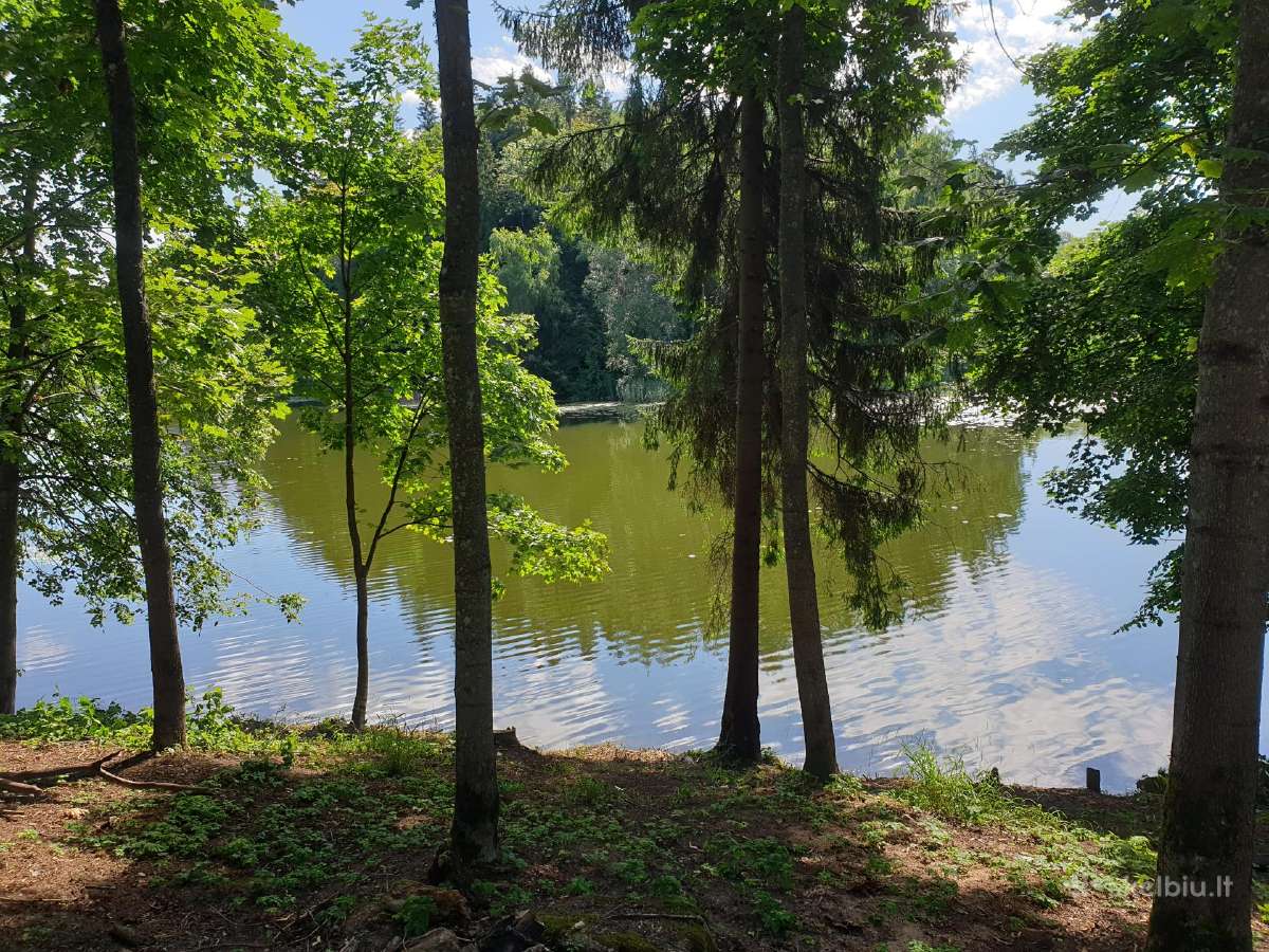 Paplūdimių įrengimas,nendrių naikinimas Molėtų raj - nuotraukos Nr. 6