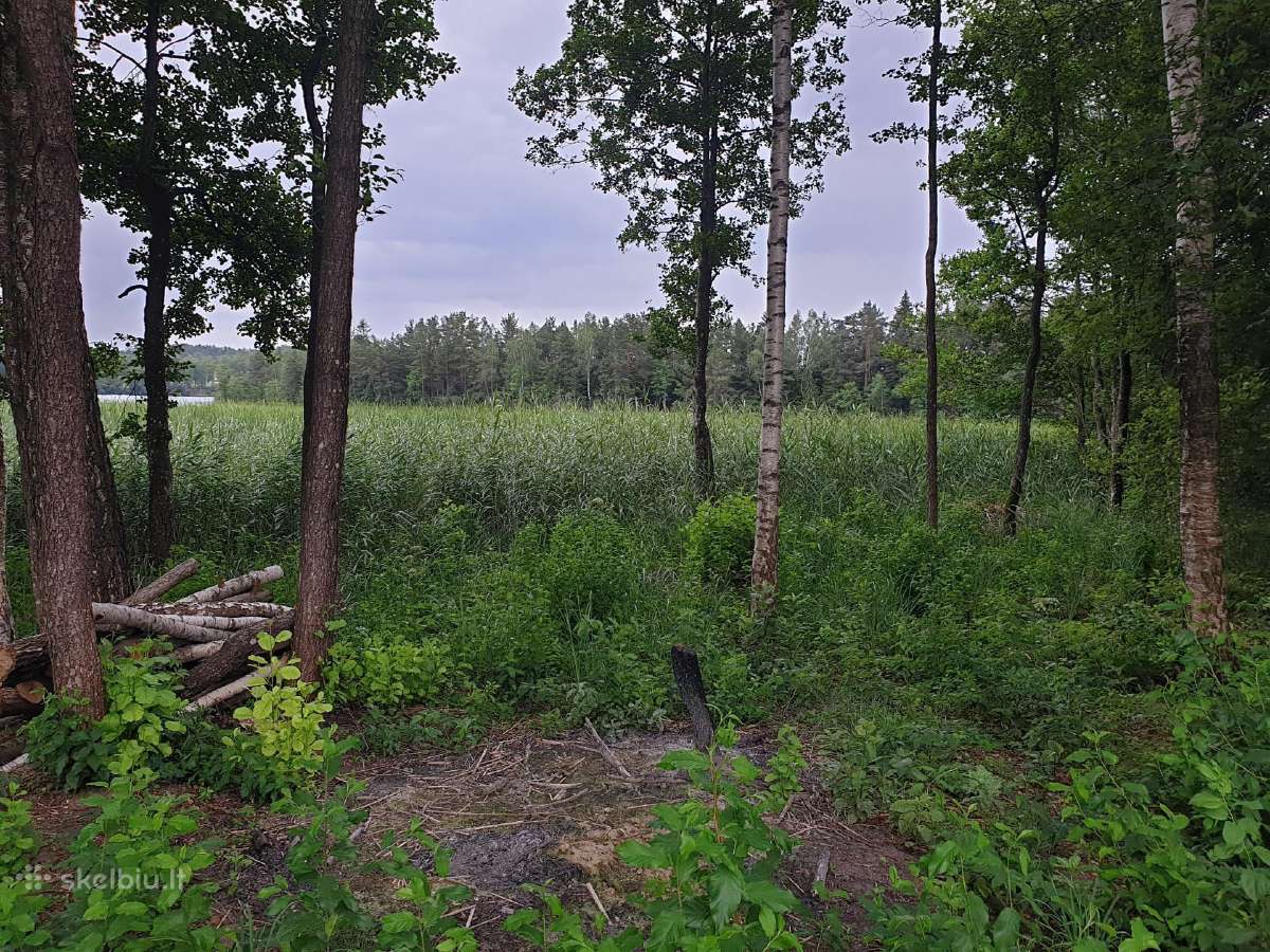 Paplūdimių įrengimas,nendrių naikinimas Molėtų raj - nuotraukos Nr. 7