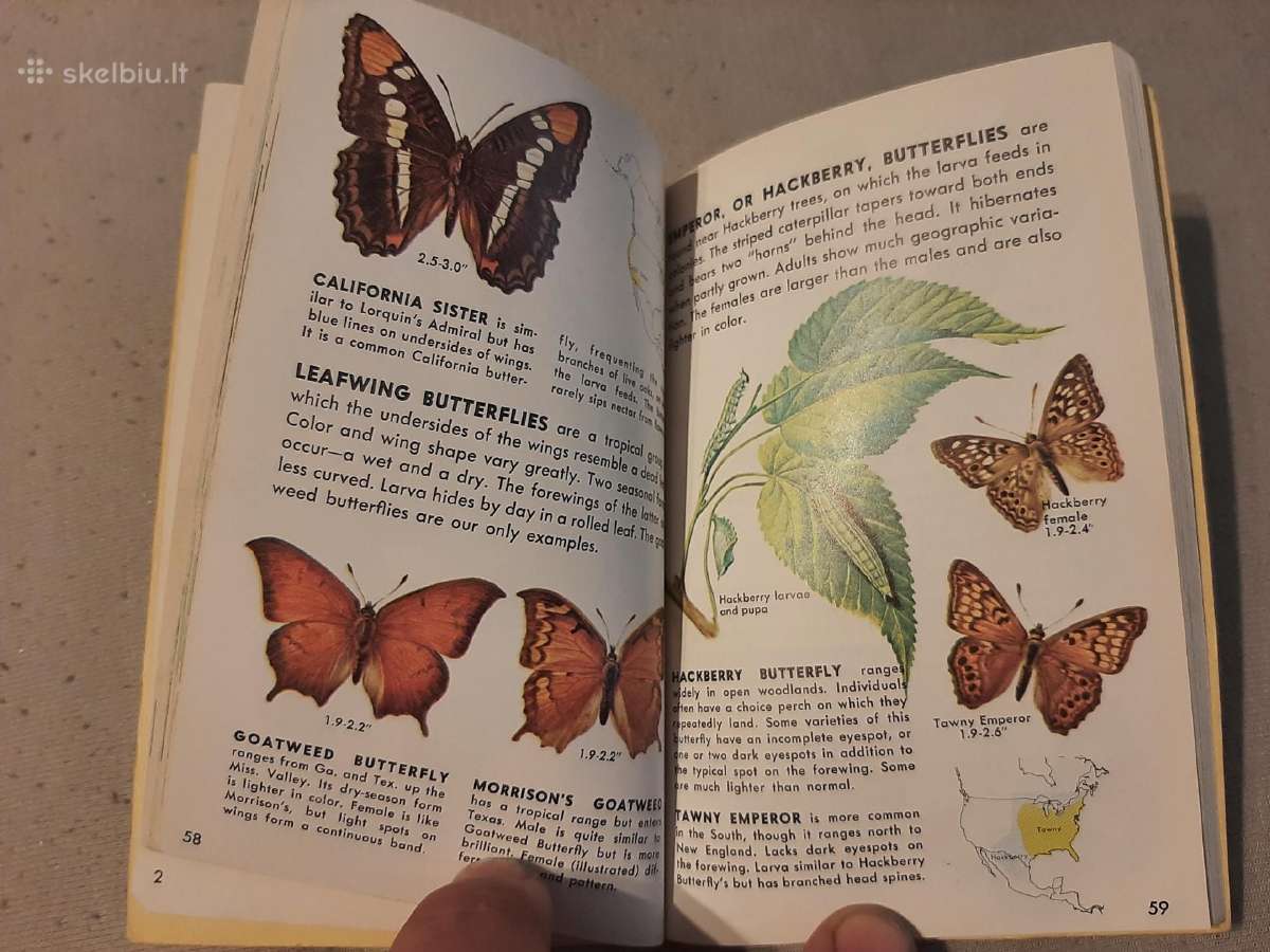 Gyvūnijos pasaulyje - nuotraukos Nr. 5
