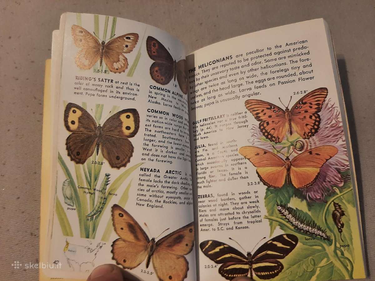Gyvūnijos pasaulyje - nuotraukos Nr. 8