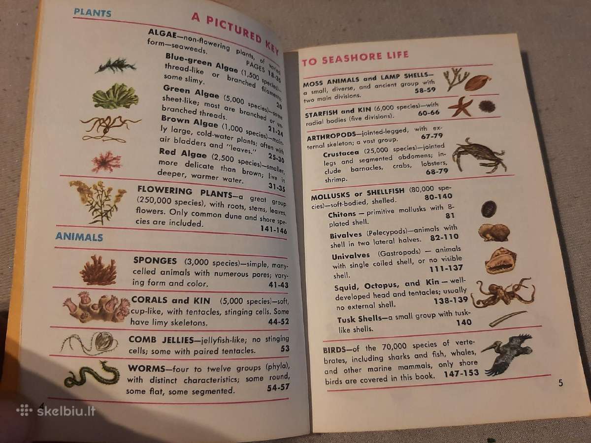 Gyvūnijos pasaulyje - nuotraukos Nr. 21