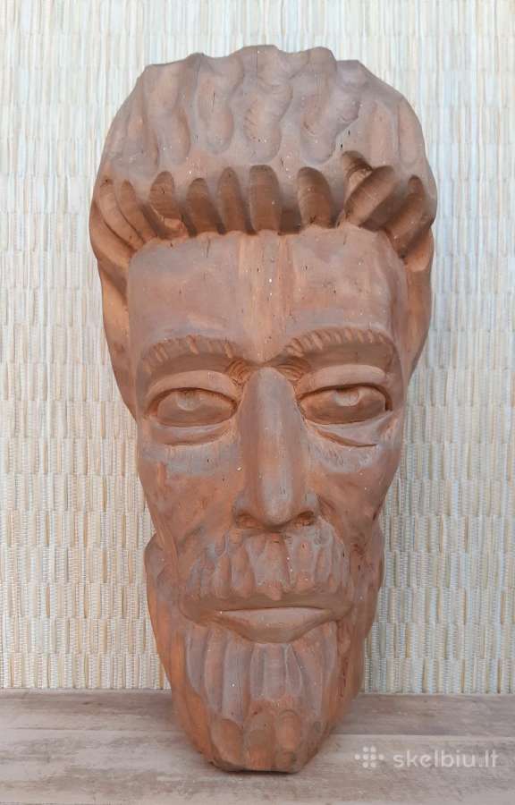 Medžio drožinys
