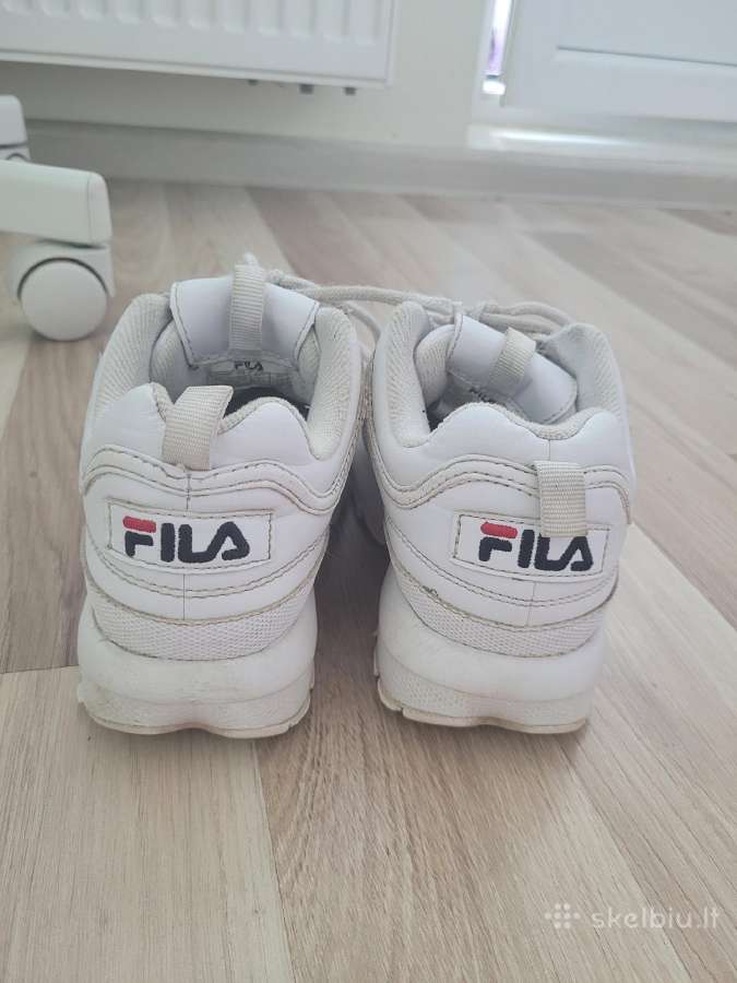 Fila kedukai - nuotraukos Nr. 3