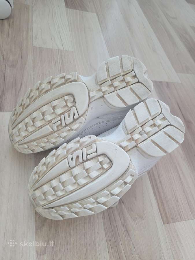 Fila kedukai - nuotraukos Nr. 4