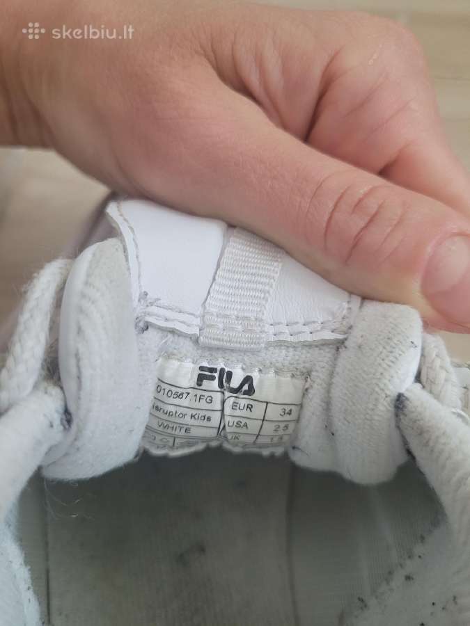 Fila kedukai - nuotraukos Nr. 5