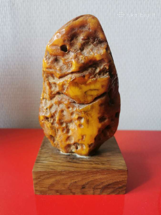 Gintaras - nuotraukos Nr. 9