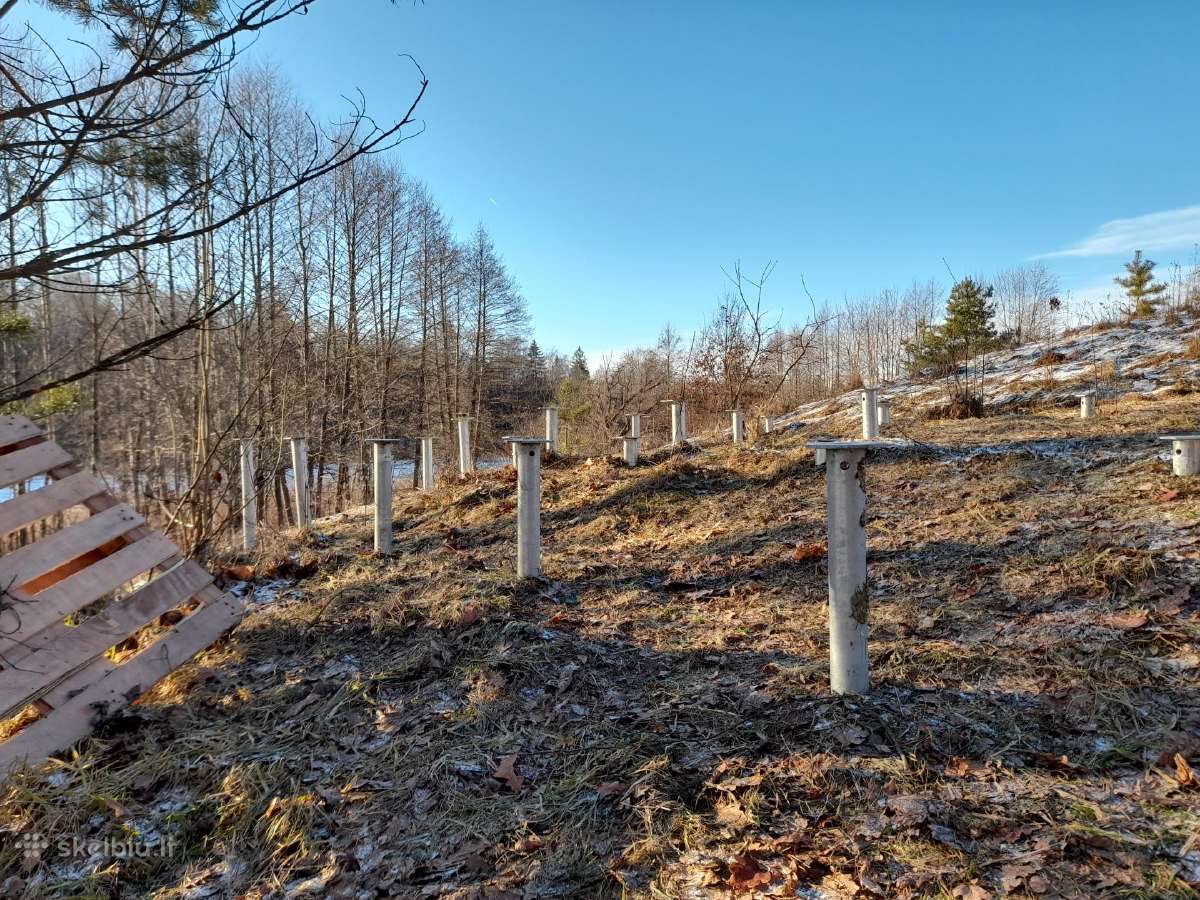 Sraigtiniai Poliai - nuotraukos Nr. 6