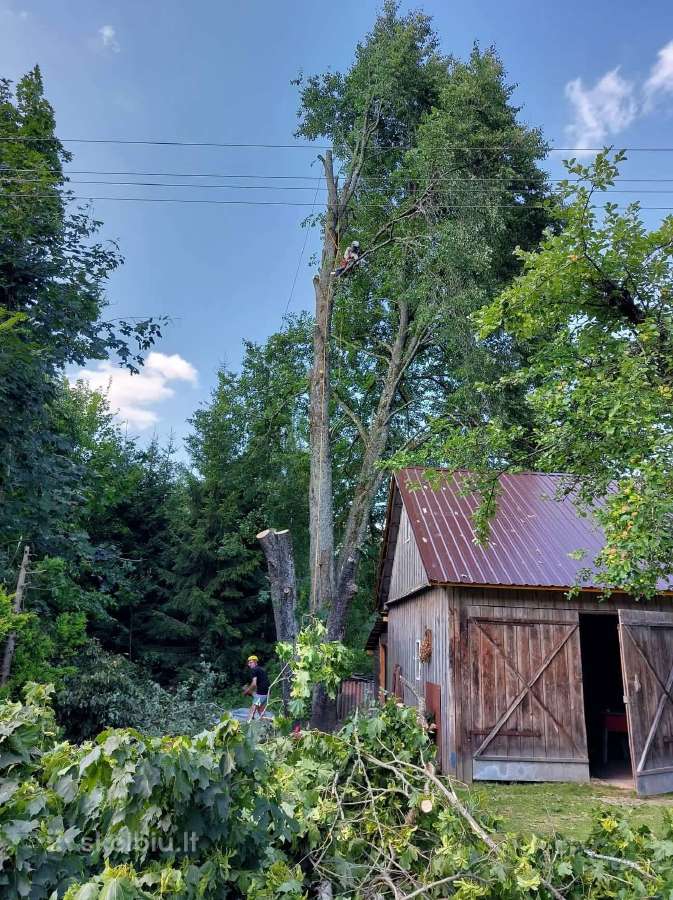 Aukštalipiai,medžių pjovimas,kelmų naikinimas. - nuotraukos Nr. 18