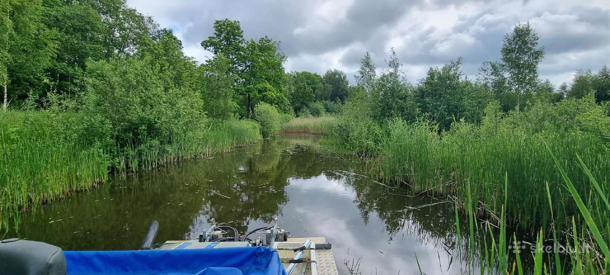 Nendrių, meldų ir kitos vandens augalijos pjovimas - nuotraukos Nr. 6