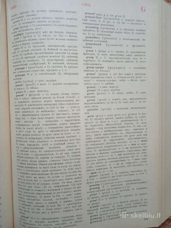 English Russian Dictionary - nuotraukos Nr. 3