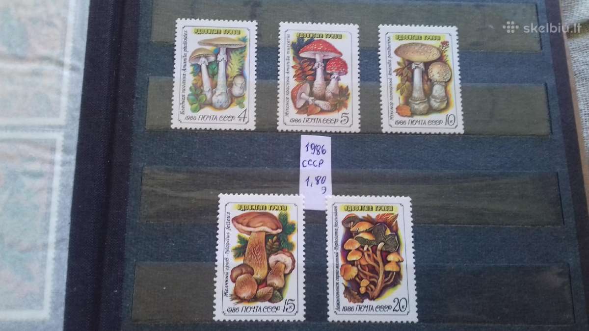 CcCCCP 1986 m.