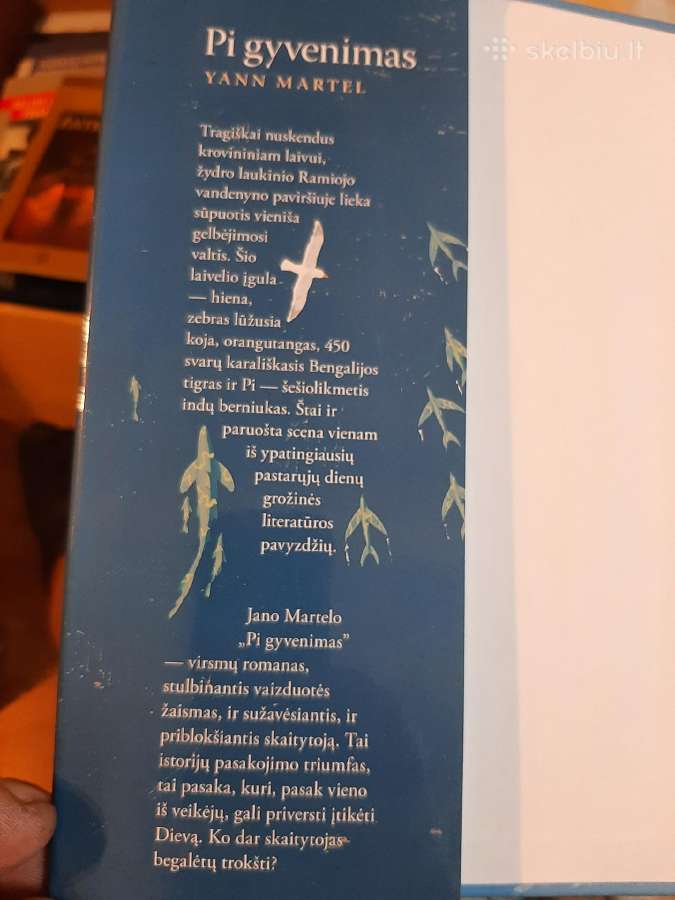 Pi gyvenimas - nuotraukos Nr. 2