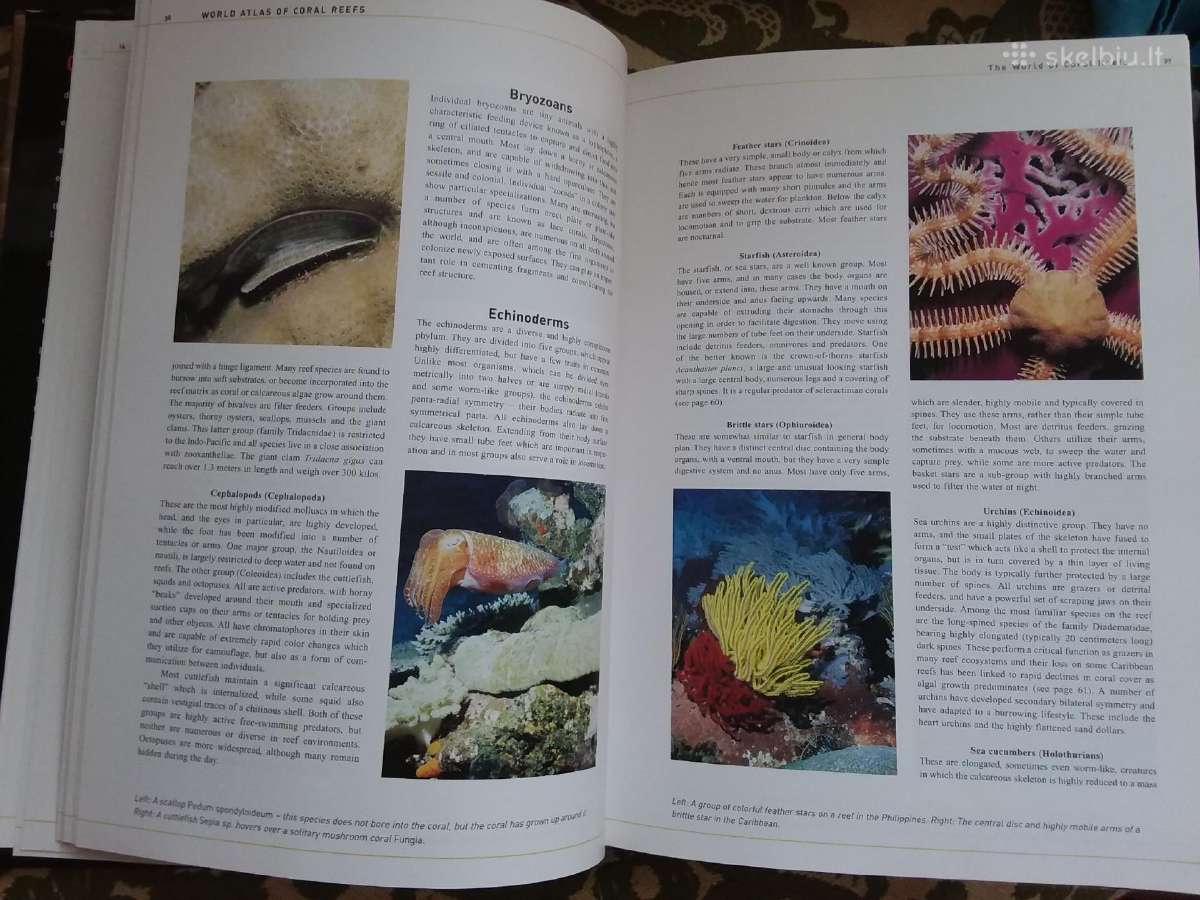 World Atlas of Coral Reefs - nuotraukos Nr. 5