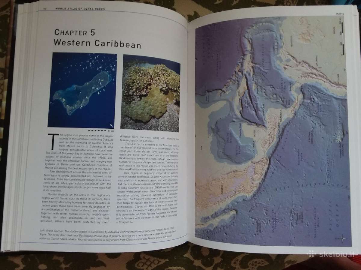 World Atlas of Coral Reefs - nuotraukos Nr. 6