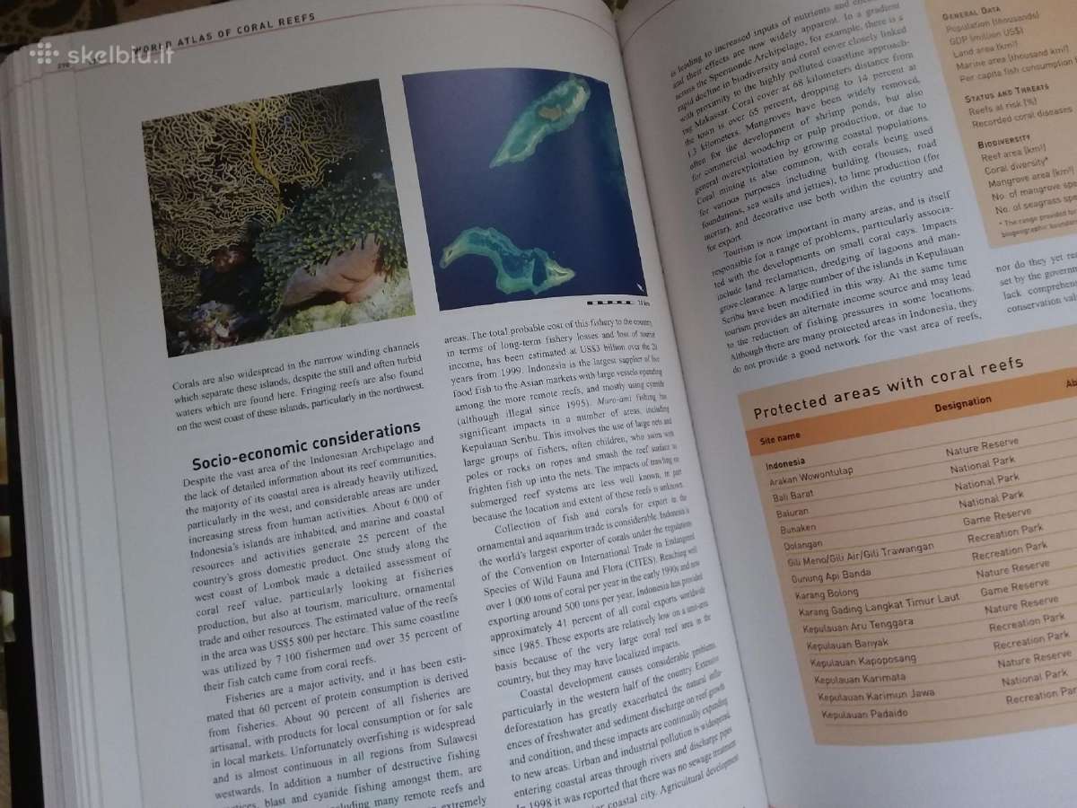 World Atlas of Coral Reefs - nuotraukos Nr. 7