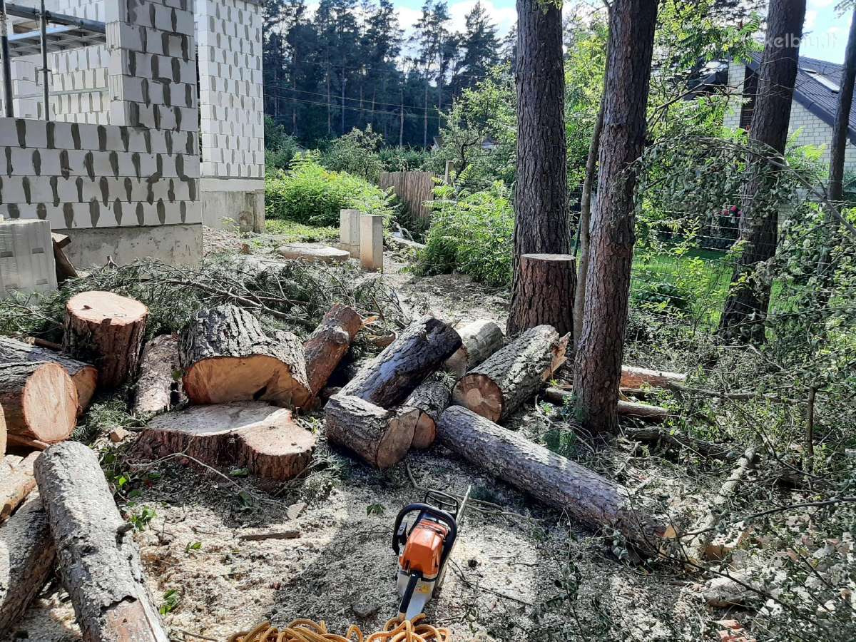 Aukštalipiai,medžių pjovimas,kelmų naikinimas. - nuotraukos Nr. 17
