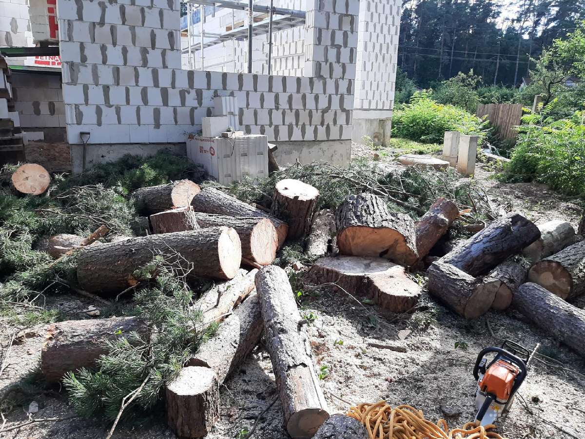 Aukštalipiai,medžių pjovimas,kelmų naikinimas. - nuotraukos Nr. 19