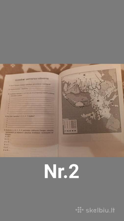 Istorijos egzaminui rengiuosi pats - nuotraukos Nr. 3