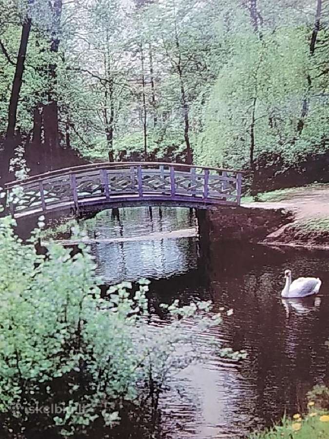 Z. Kazenas Palanga - nuotraukos Nr. 2