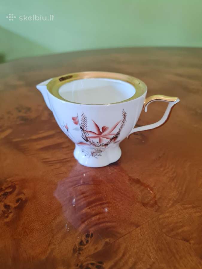 Jiesia poercelianinis indelis pienui