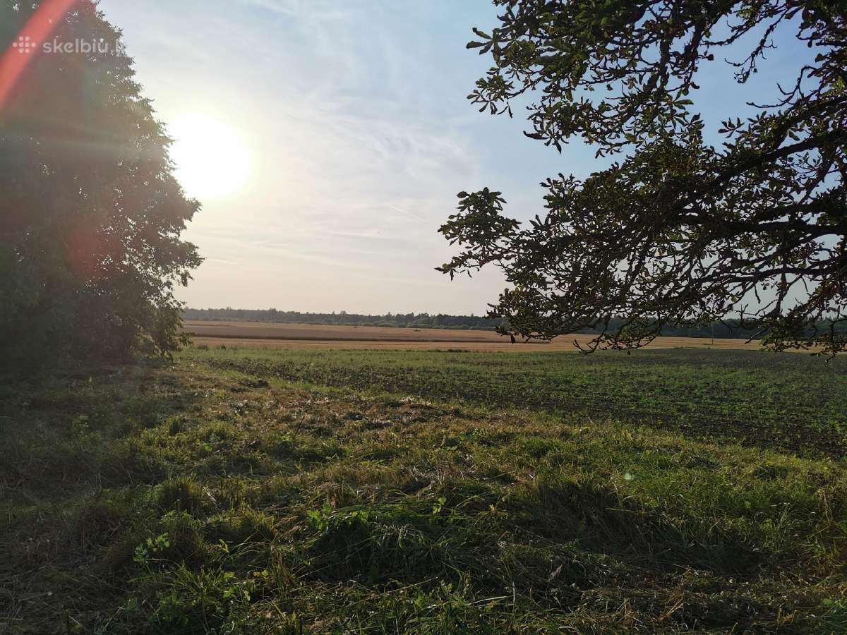 Parduodu sodybą - vienkiemį Dauginčių km. 93 arai - nuotraukos Nr. 6