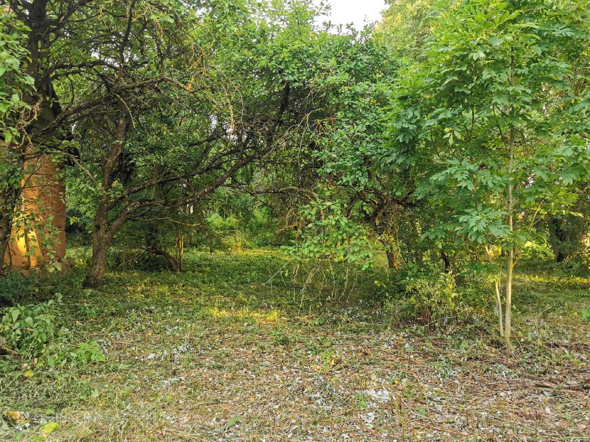 Parduodu sodybą - vienkiemį Dauginčių km. 93 arai - nuotraukos Nr. 7