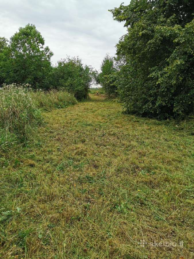 Parduodu sodybą - vienkiemį Dauginčių km. 93 arai - nuotraukos Nr. 10