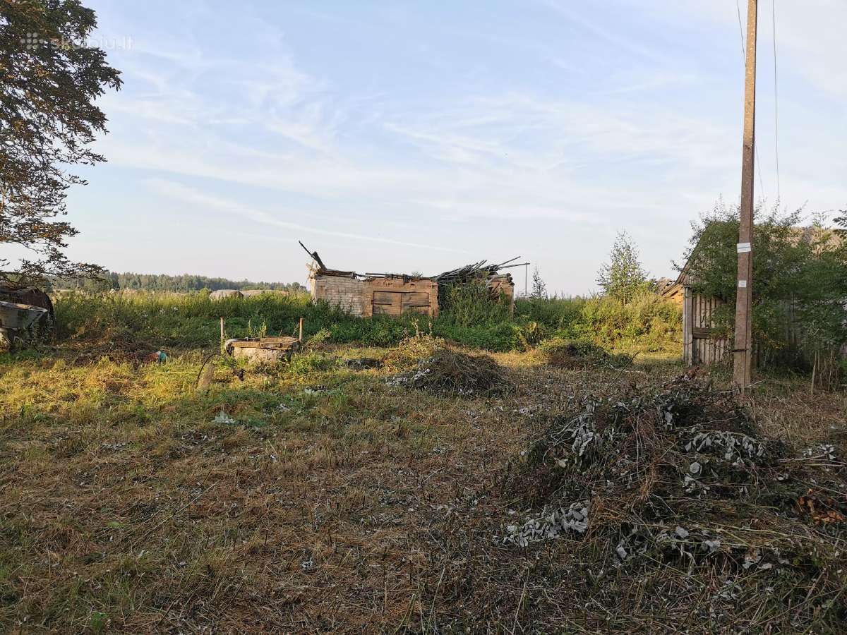 Parduodu sodybą - vienkiemį Dauginčių km. 93 arai - nuotraukos Nr. 11