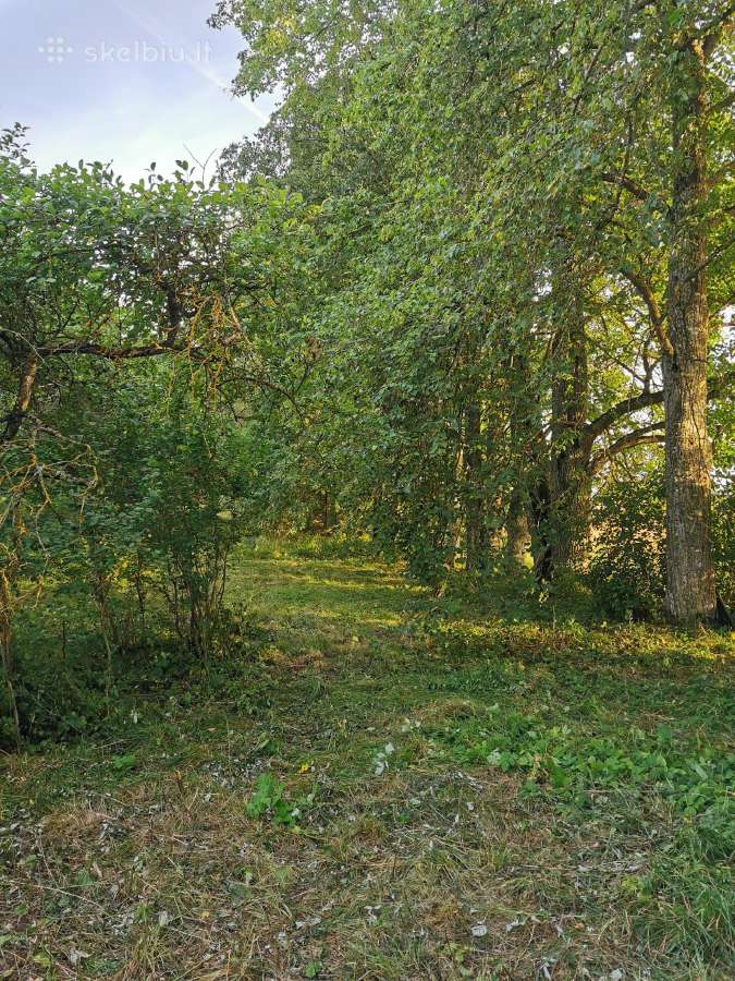 Parduodu sodybą - vienkiemį Dauginčių km. 93 arai - nuotraukos Nr. 12
