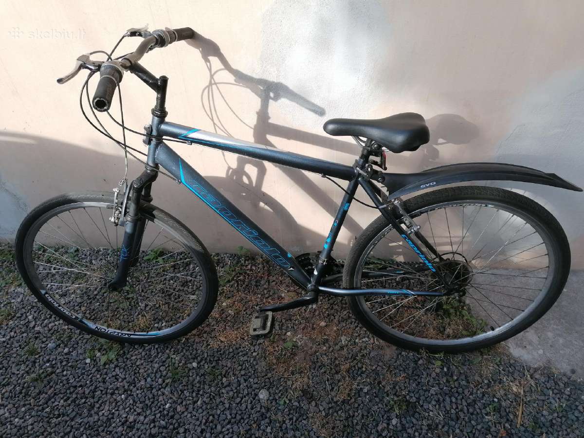 Dviratis itališkas Capriola Sunrise ratai 28 col