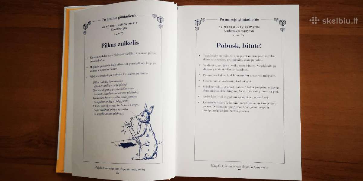 Mažylio lavinimas nuo dvejų iki trejų metų - nuotraukos Nr. 5