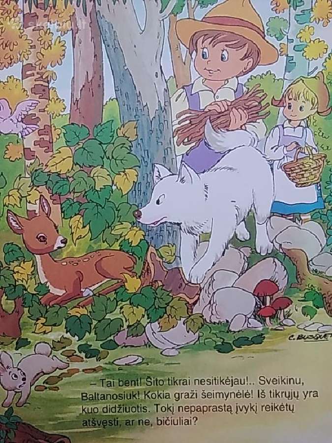 J. Barnabe ''Elniukas Baltanosiukas'' - nuotraukos Nr. 3