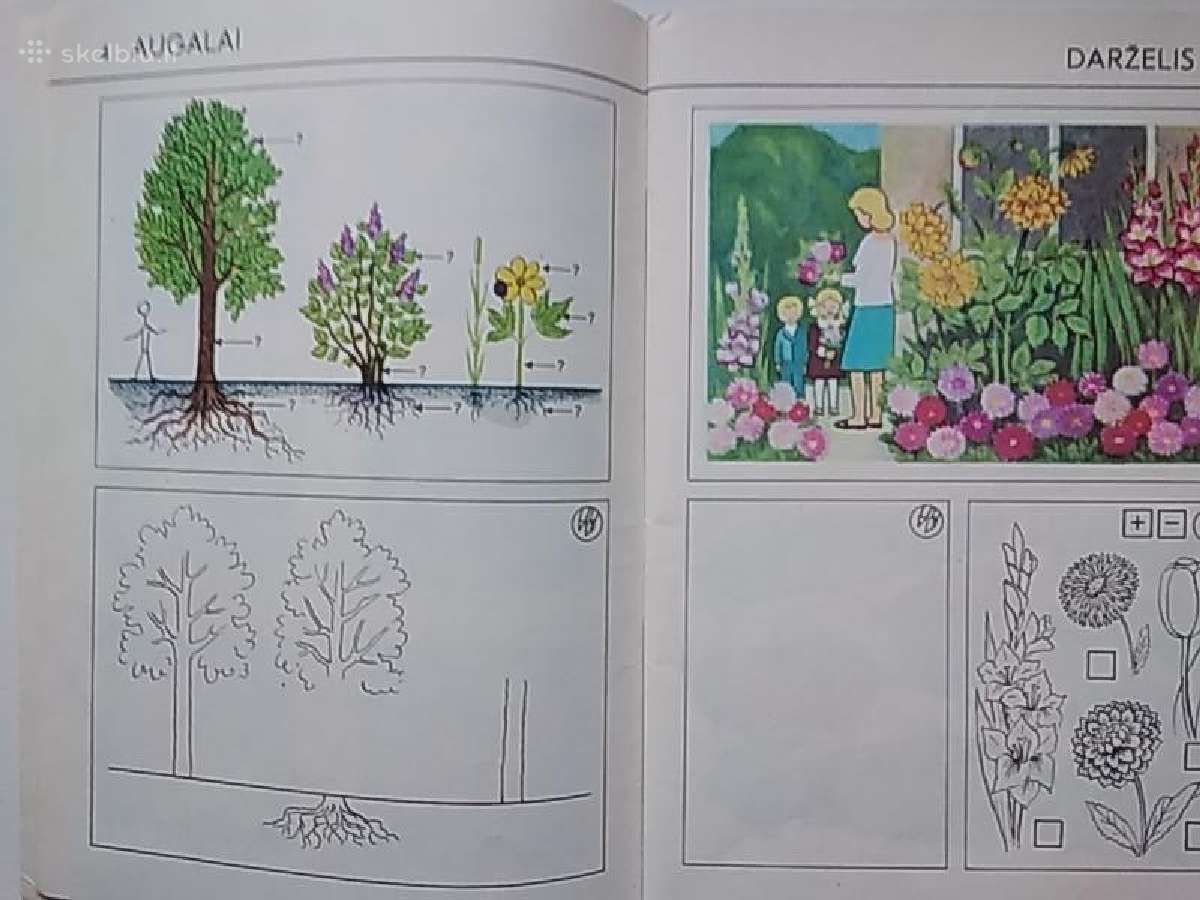 Audronė Rimkevičienė Pažinkime Gamtą - nuotraukos Nr. 5