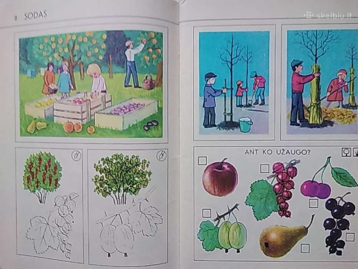 Audronė Rimkevičienė Pažinkime Gamtą - nuotraukos Nr. 6