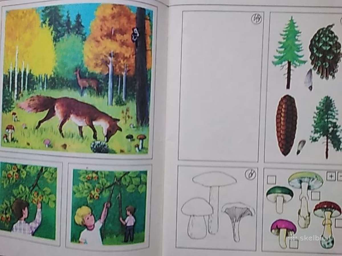 Audronė Rimkevičienė Pažinkime Gamtą - nuotraukos Nr. 7
