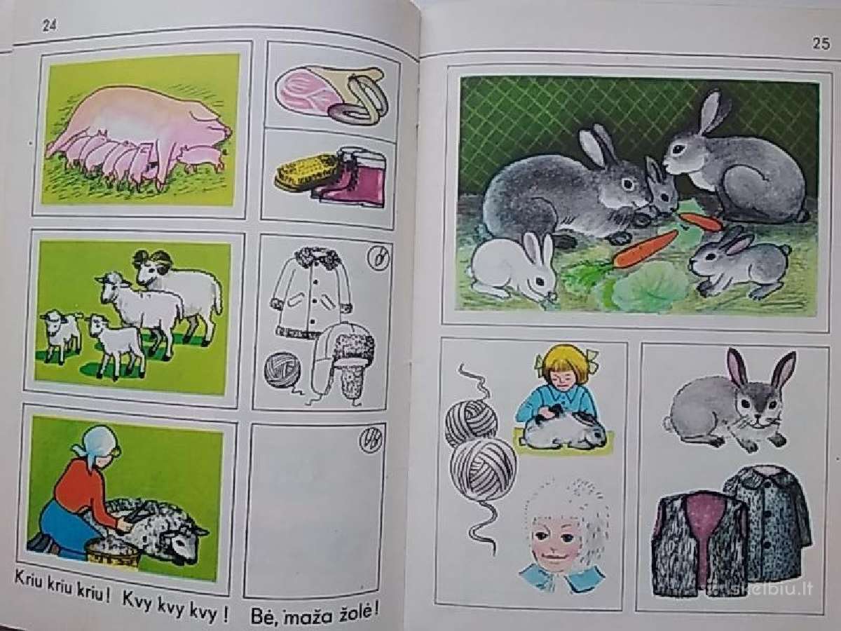 Audronė Rimkevičienė Pažinkime Gamtą - nuotraukos Nr. 10