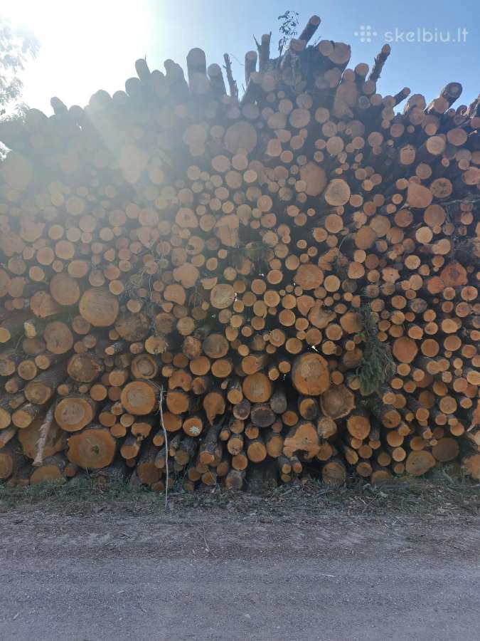 Vasara jau prasidėjo pats laikas džiovinti malkas - nuotraukos Nr. 2