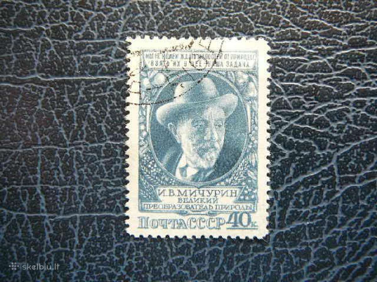 Ssr 1949 I. Miciurinas antsp. a1353